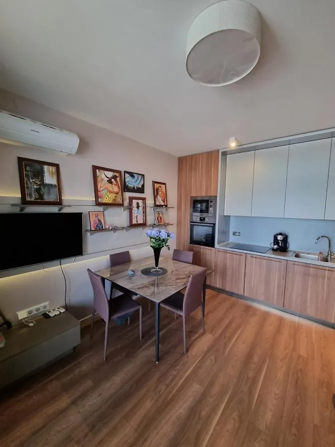 Panorama Sofia 11 Galery Apartment Bulgaria